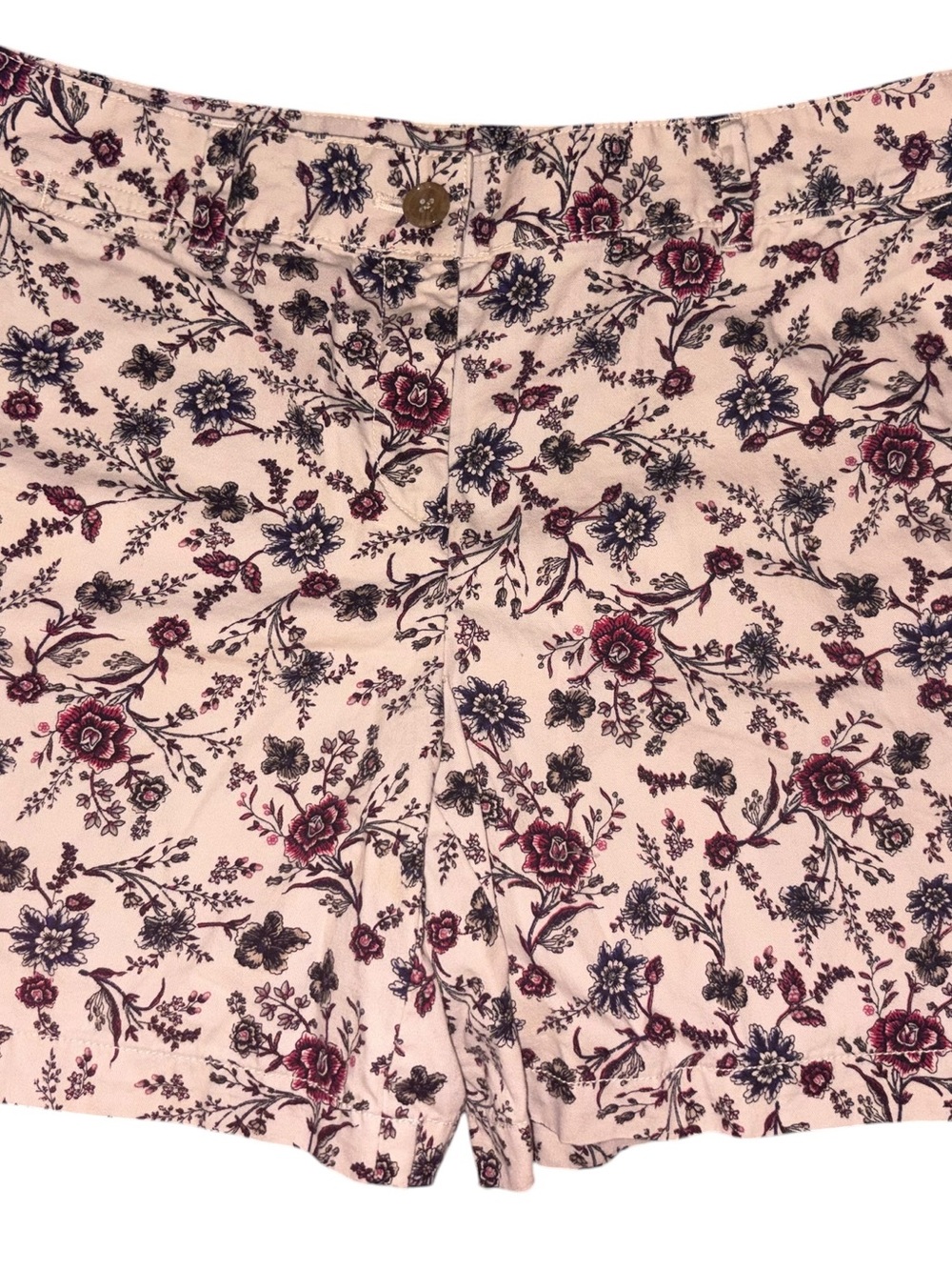 LOFT Ann Taylor Women’s Floral Shorts Size 10 Pink Blue Print Casual Summer